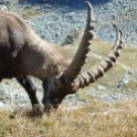 rando vanoise_06